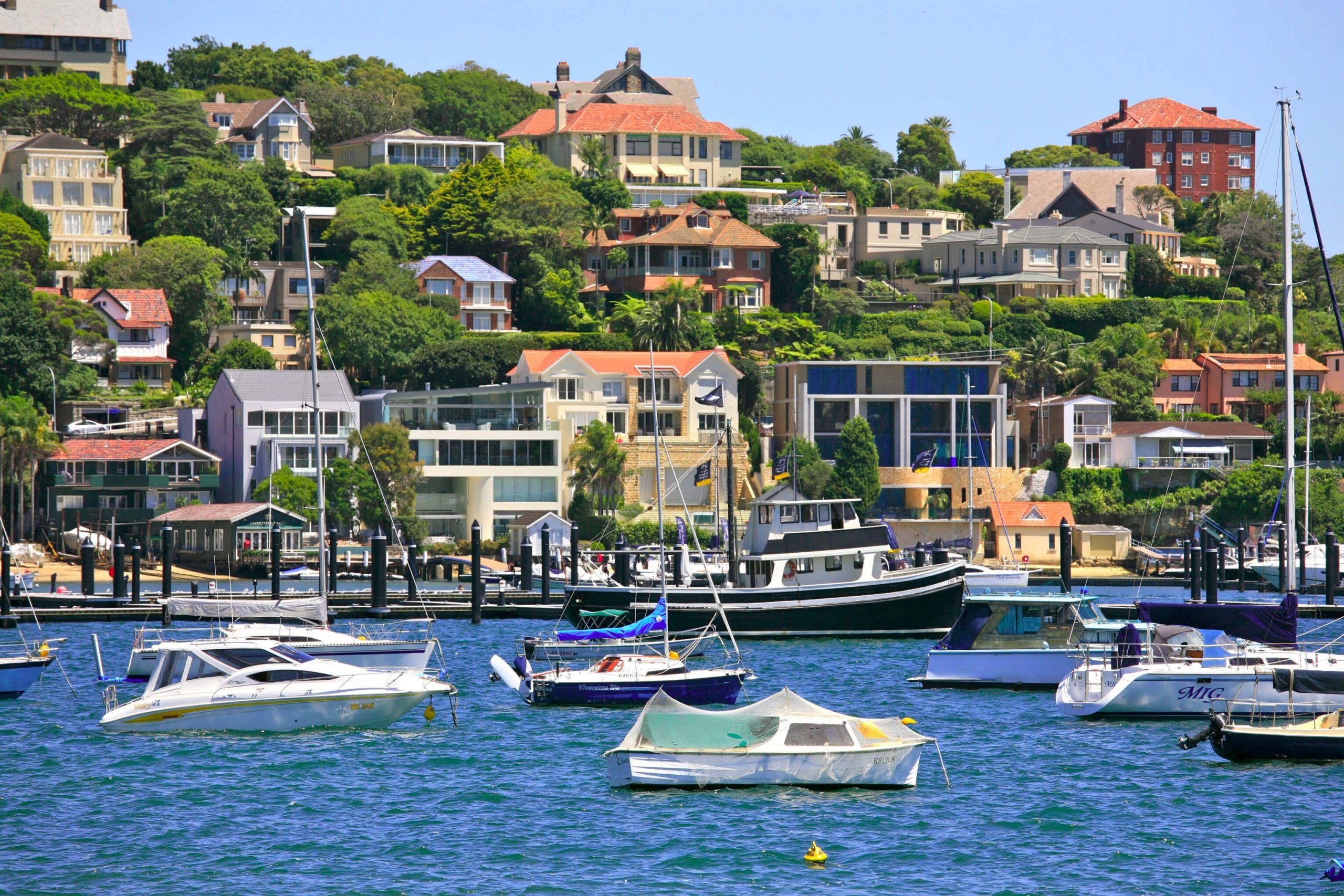 About Rose Bay